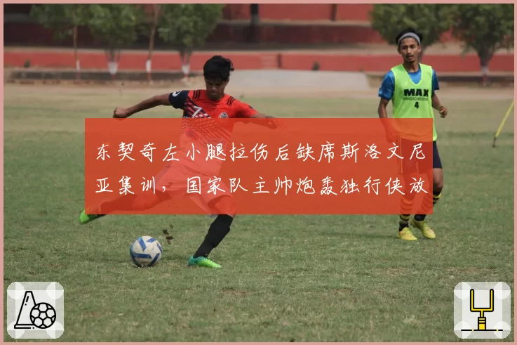 东契奇左小腿拉伤后缺席斯洛文尼亚集训,国家队主帅炮轰独行侠放行时间表