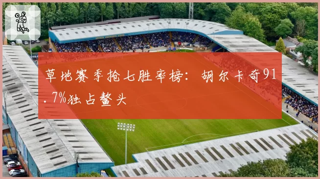 草地赛季抢七胜率榜：胡尔卡奇91.7%独占鳌头