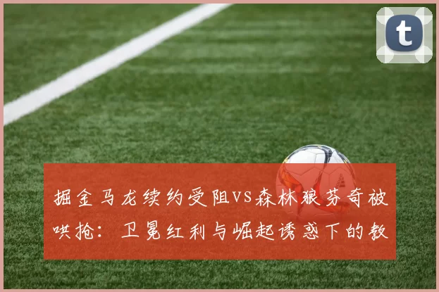 掘金马龙续约受阻vs森林狼芬奇被哄抢：卫冕红利与崛起诱惑下的教练市场