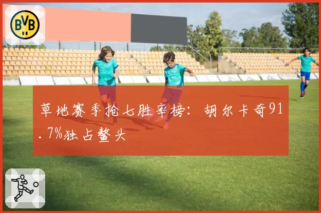 草地赛季抢七胜率榜：胡尔卡奇91.7%独占鳌头