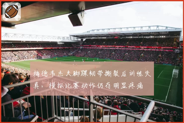 梅德韦杰夫脚踝韧带撕裂后训练失真，模拟比赛动作仍存明显疼痛
