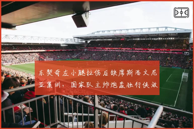 东契奇左小腿拉伤后缺席斯洛文尼亚集训,国家队主帅炮轰独行侠放行时间表