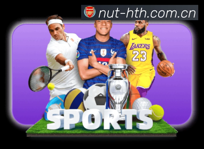 安全使用与支持流程